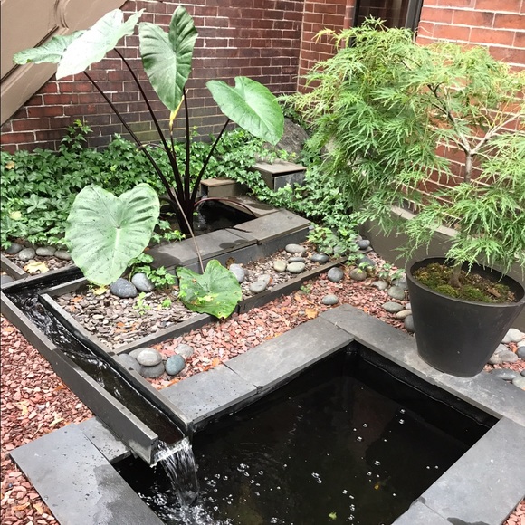 Meet your Posher, Cassandra - Picture 4 of 11